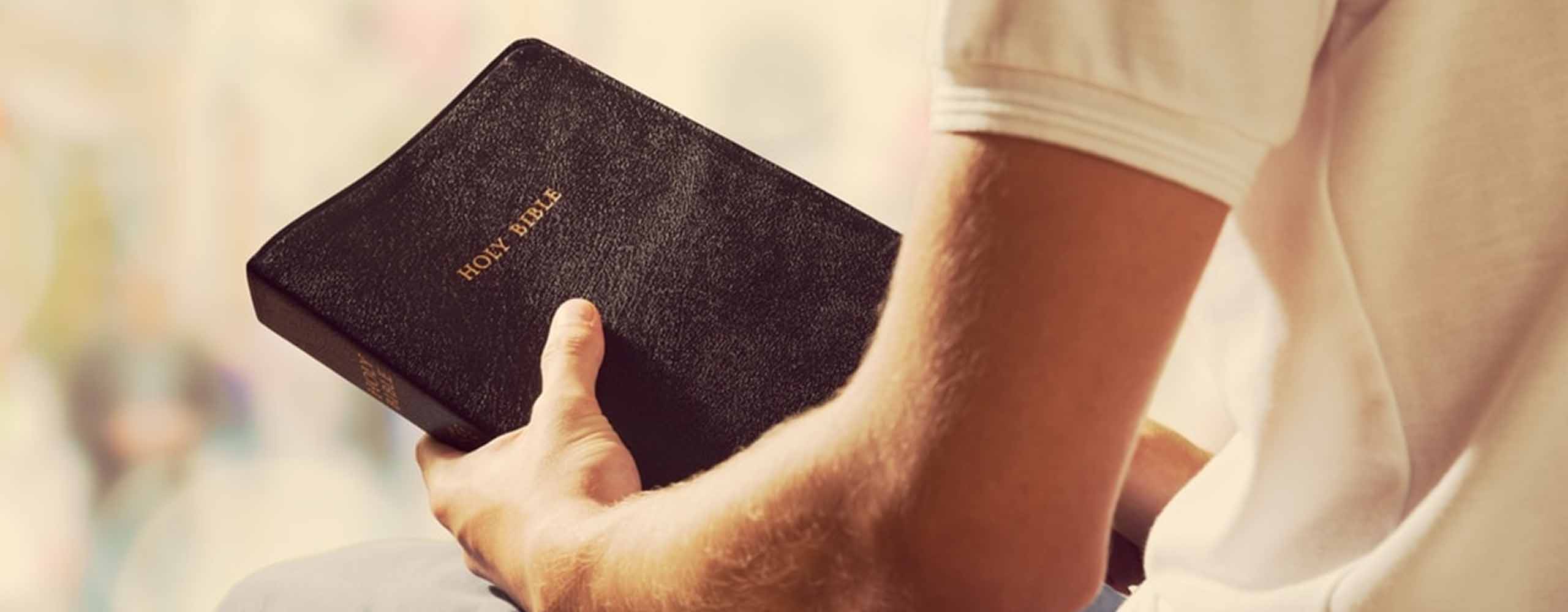 FALSE DISCIPLE: THE LIAR